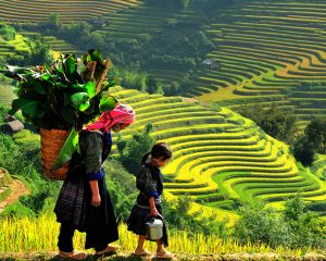 Sapa Vietnam Trek