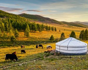 10 Day Best of Mongolia Tour MyHoliday2