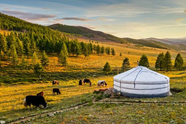 10 Day Best of Mongolia Tour MyHoliday2