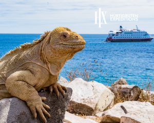 Galapagos expedition cruise