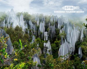 10 Day Sarawak Tour with Miri National Park