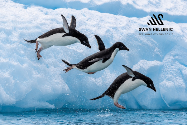 2 PEOPLE: 11 Day Luxury Antarctica Expedition