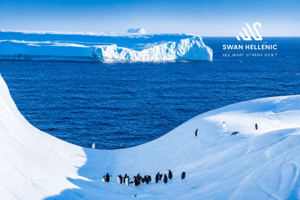 29 Day Luxury South America to South Africa Expedition