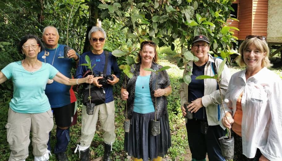 tree planting in Borneo with MyHoliday2