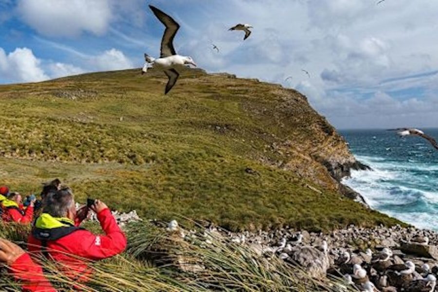 18 Day Antarctica and Falklands - SOUTH - West-Point-Island-Falklands-HGR-155082-_Photo_Yuri_Matisse_Choufour_1200xx675px