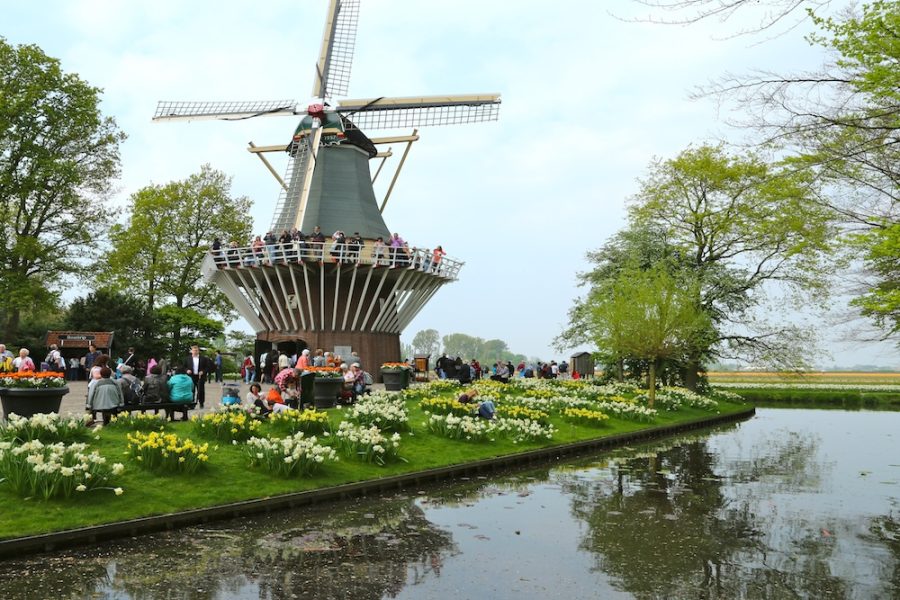 AMS to BER - Croisi - Hollande-Rhin-Amsterdam-parc-Keukenhof-moulin-Haubtmann-ORIGINAL