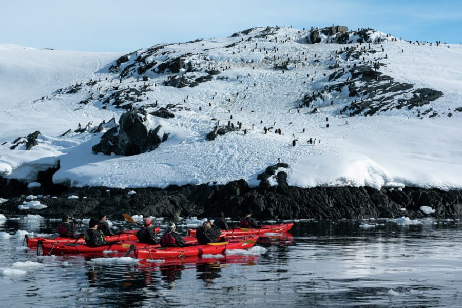 Antarctic-Circle-Antarctica-HGR-153525_1920-Photo_Yuri_Matisse_Choufour