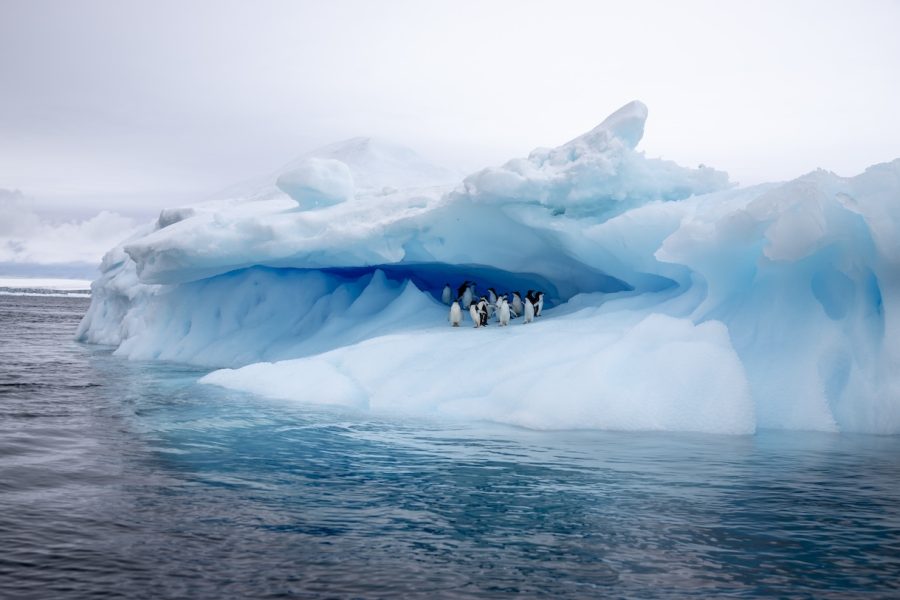 Antarctic Circle Expedition7