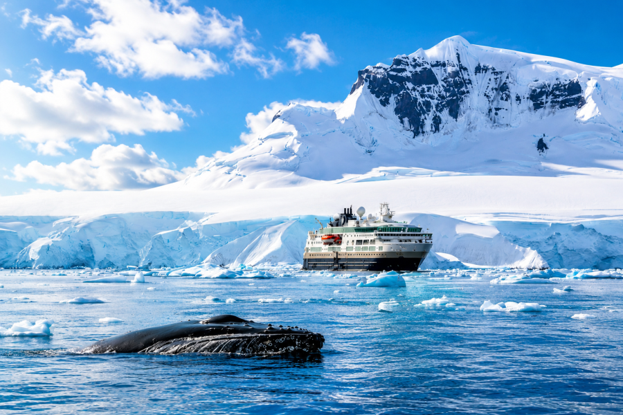 Antarctica - Fournier Bay - MS Fram - HX