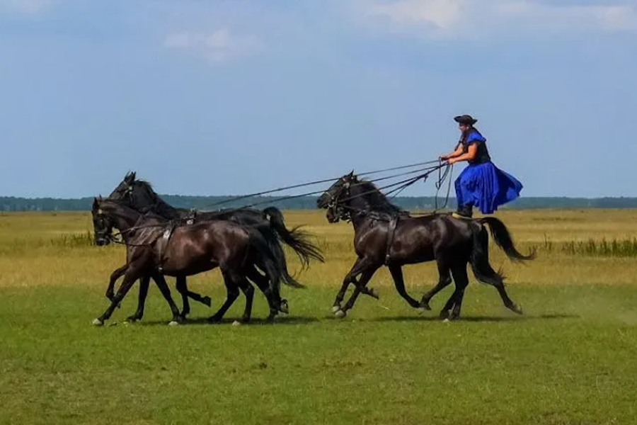 Beatutiful Blue Danube - Puszta--Roberto-Lo-Savio copy