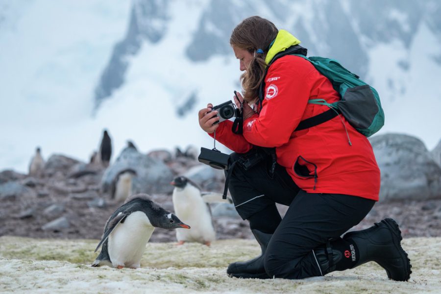 Cuverville-Island-Antarctica-HGR-153521_1920-Photo_Yuri_Matisse_Choufour