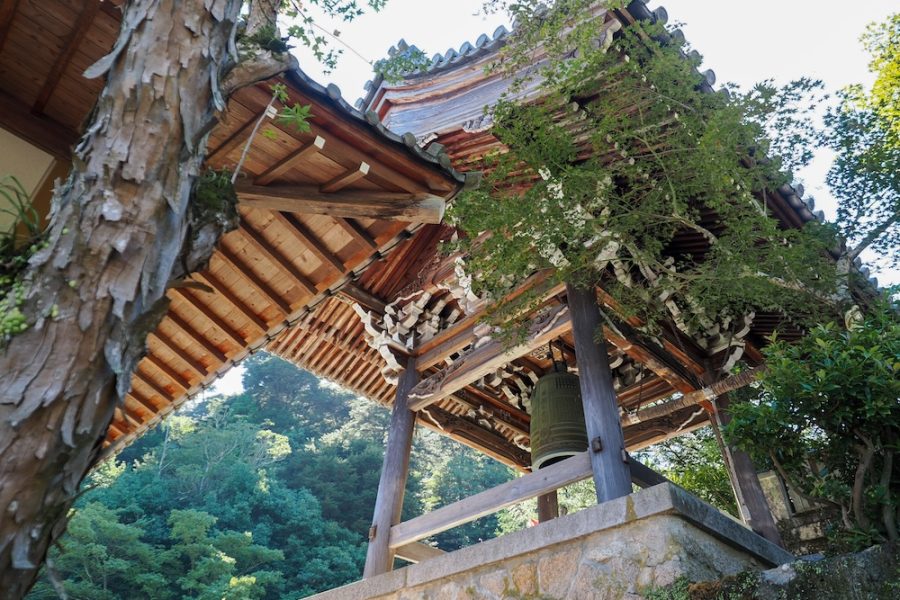 Day 7 29.09.23 AM Miyajima Island Luke Jongens_-90