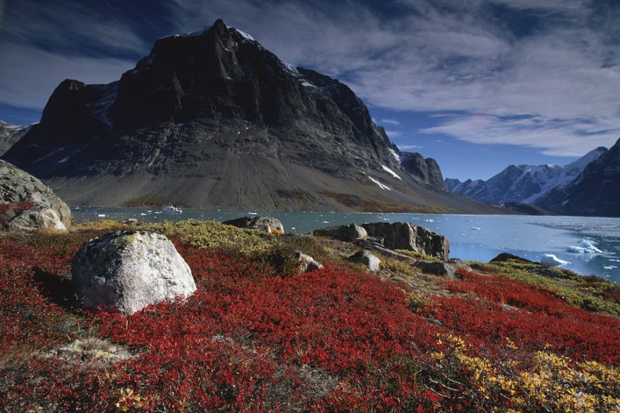 Greenland, summer, scenery