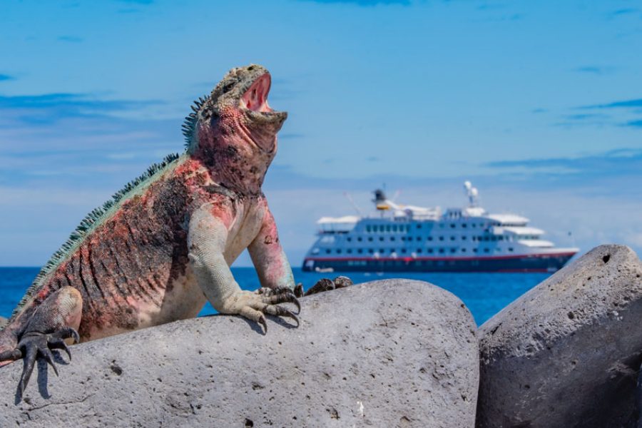 Galapagos-Ecuador-HGR-152701- Photo_Dennis_Ballesteros