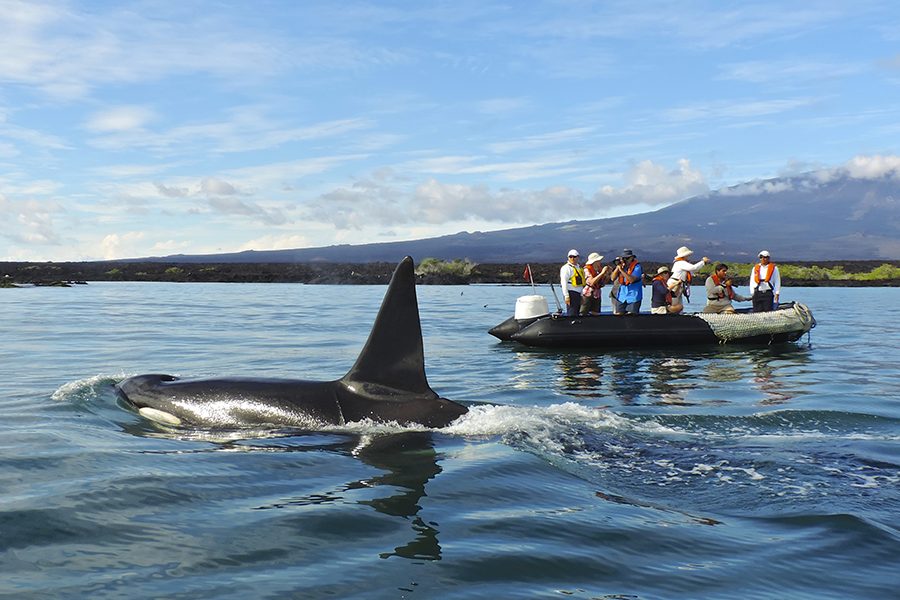 MyHoliday2 Galapagos