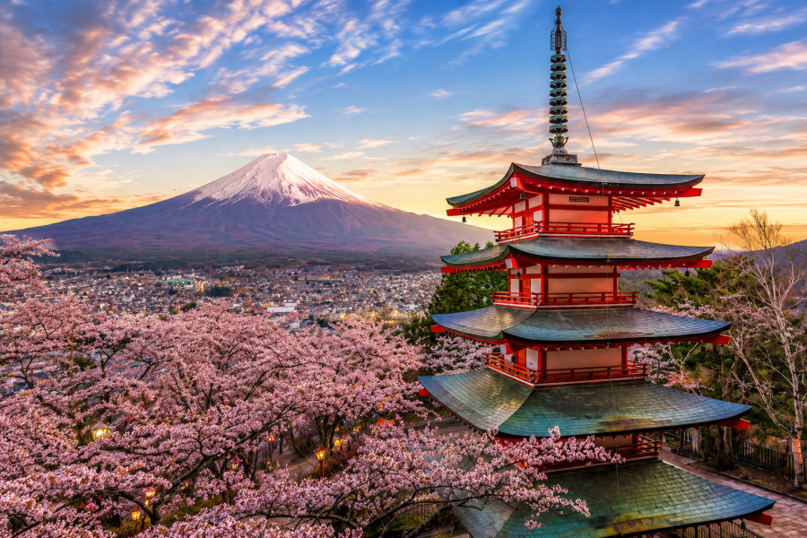 MSC Japan - Mt Fuji