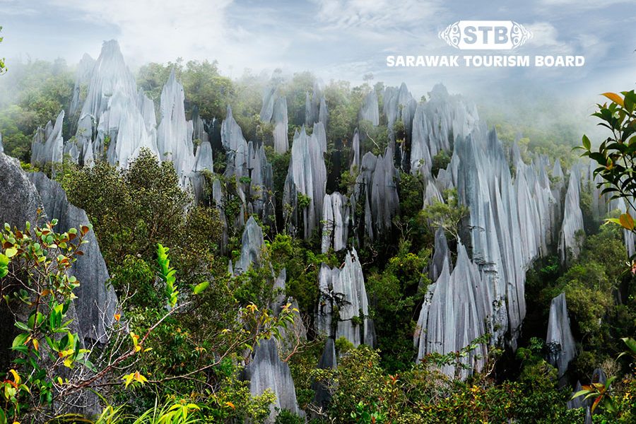 10 Day Sarawak Tour with Miri National Park