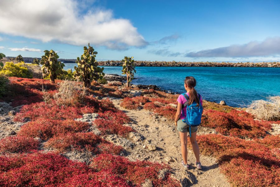 Galapagos tourist on adventure hiking enjoying landscape and animals on North Seymour, Galapagos Islands. Amazing animals and wildlife during Galapagos cruise ship vacation travel; Shutterstock ID 1664779654; purchase_order: Darwin; job: Galapagos; client: Global Marketing; other: