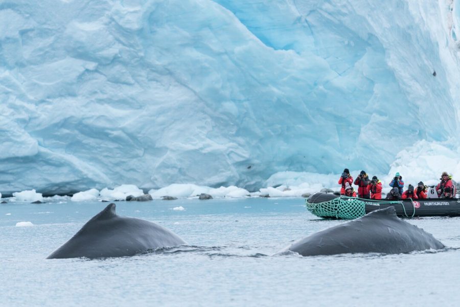 Paradise-Bay-Antarctica-HGR-144556_1080-Photo_Chelsea_Claus