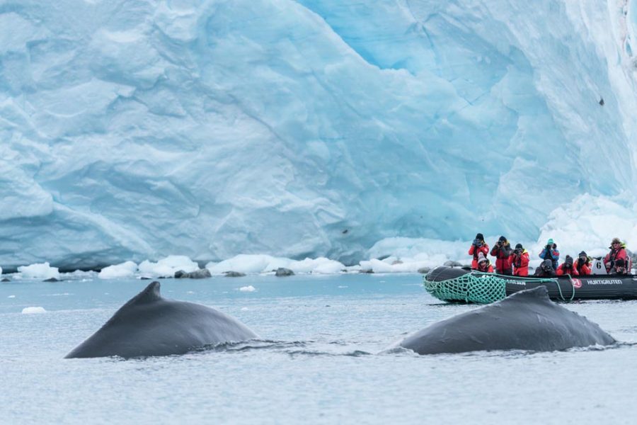 Paradise-Bay-Antarctica-HGR-144556_1920- Photo_Chelsea_Claus