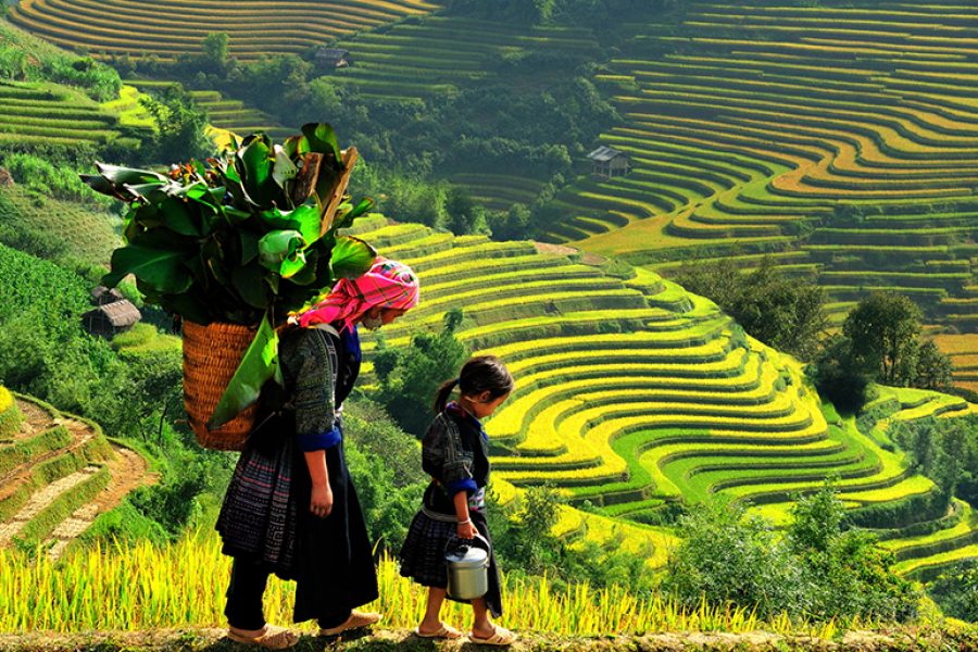 Sapa Vietnam Trek