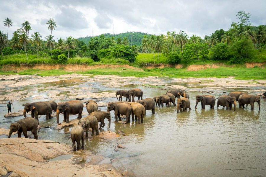 Sri-Lanka-2017-33_new