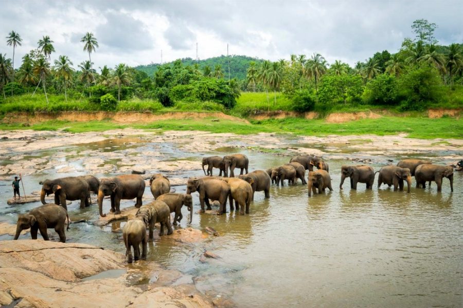 2FOR1 SRI LANKA