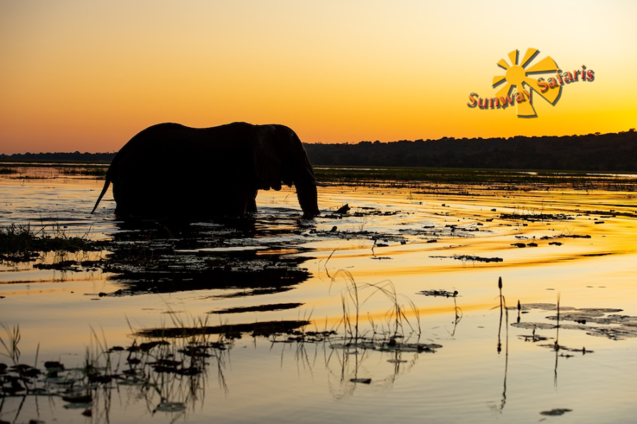 Sunway Cape Town to Victoria Falls 13