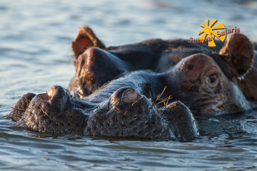 Sunway Rainbow Route 9