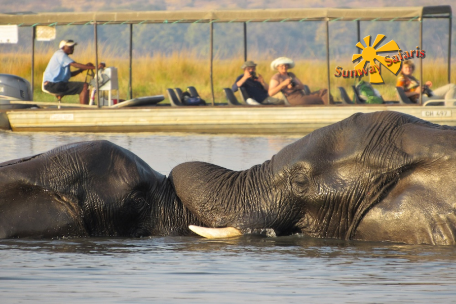 Sunway Sunway Botswana Chobe Greg Bates-3036.jpg