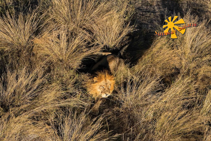 Sunway Sunway Botswana Helicopter Horizons-51.jpg