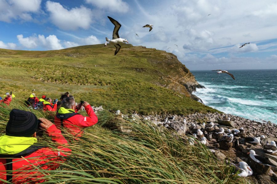 West-Point-Island-Falklands-HGR-155082_1080-Photo_Yuri_Matisse_Choufour