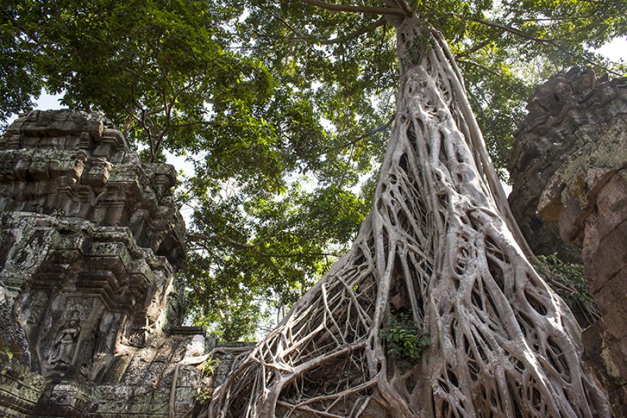 Cambodia tour package