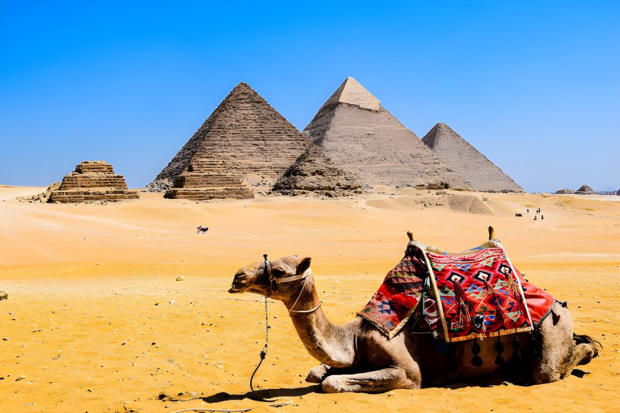 Egypt Tour with Flights