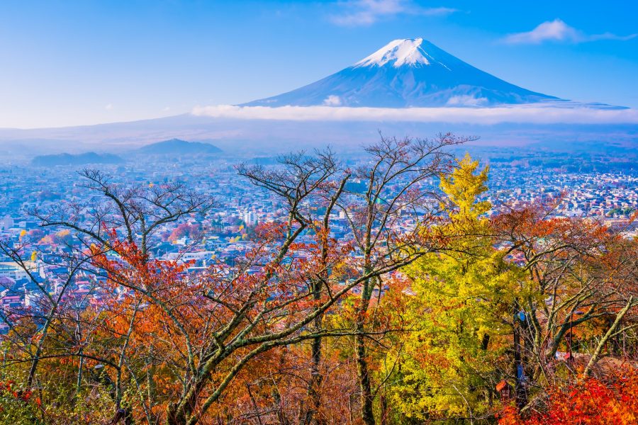 Beautiful landscape of mountain fuji around maple leaf tree with white cloud and blue sky in autumn season at Yamanashi Japan