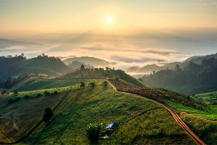 Golden sunrise over rolling hill with vegetable cultivation and foggy in countryside at Chiang Dao, Chiang Mai, Thailand