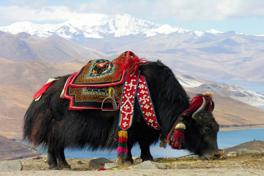 Bhutan