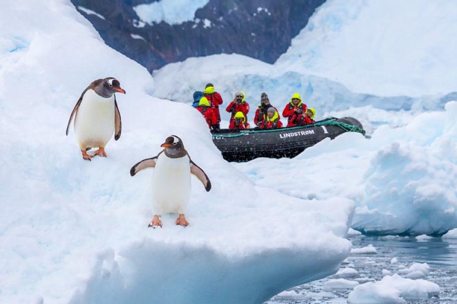 Cheap Antarctica Deal MyHoliday2